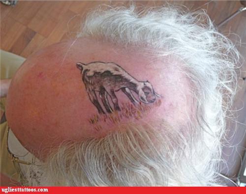 Goat Eating a Guy Bald Head Tattoo Art