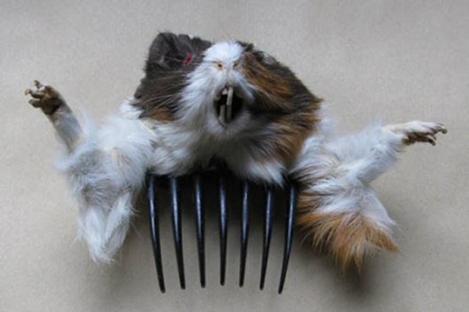 Crazy Christmas Gifts Taxidermy Guinea Pig Comb Accessory
