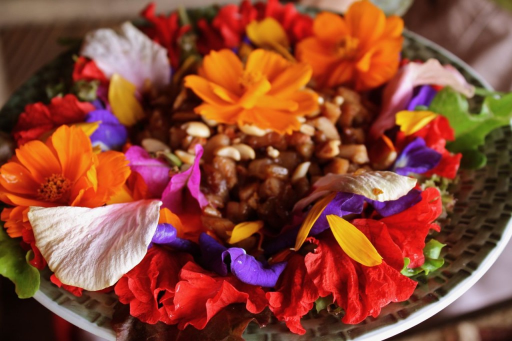 Phillipines Travel Food Art Photography Flowers